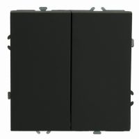 Выключатель 2-клавишный (механизм) СЗК STEKKER 250В 10А серия Эмили RSВт10-5104-05ZK черный уголь soft touch 50247 Выключатель 2-клавишный (механизм) СЗК STEKKER 250В 10А серия Эмили RSВт10-5104-05ZK черный уголь soft touch 50247