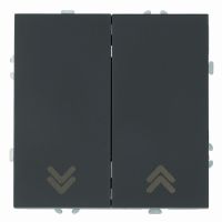 Выключатель 2-клавишный самовозвратный (механизм) STEKKER 250В 10А серия Эмили RSВт10-5113-05 черный уголь soft touch 50327 Выключатель 2-клавишный самовозвратный (механизм) STEKKER 250В 10А серия Эмили RSВт10-5113-05 черный уголь soft touch 50327