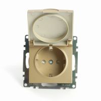 Розетка 1-местная с крышк с защ. штор (механизм) с/з STEKKER GLS16-7112-08 250В 16А серия Катрин золото 49222