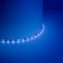 Cветодиодная LED лента Feron LS603, 60SMD(2835)/м 4.8Вт/м  5м IP20 12В синий 27673
