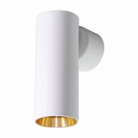 Светильник Feron ML1015 настенно-потолочный под лампу GU10 белый + золото 51384