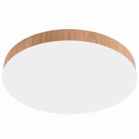 Светильник накладной со светодиодами 48Вт 3840Lm 3000К-4000К-6400K AL1600 Feron.ONE 51110