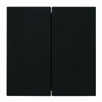 Выключатель 2-клавишный (механизм) 250В 10А серия Мия RSВт10-3104-05 черный бархат 50443