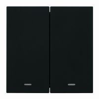 Выключатель 2-клавишный c индикатором (механизм) 250В 10А серия Мия RSВт10-3102-05 черный бархат 50446