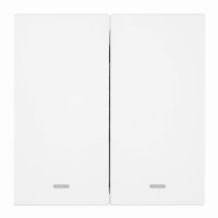 Выключатель 2-клавишный c индикатором (механизм) 250В 10А серия Мия RSВт10-3102-01 белая магнолия 50432