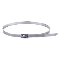 Хомут кабельный 4.6х300 нерж. сталь AISI 304 серебр. (уп.50шт) DKC 27406 Хомут кабельный 4.6х300 нерж. сталь AISI 304 серебр. (уп.50шт) DKC 27406
