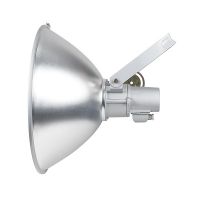 Прожектор уличный ГО 17-70-01 'Пролайт' круглосимметричный GALAD 04721
